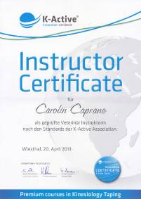 K-Active - Instructor Certificate